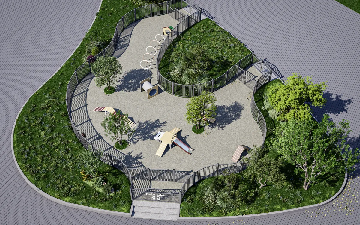 Creating A Safe And Fun Dog Playground Indoor Environment 3 Dog playground indoor
